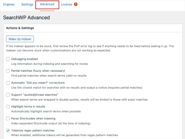 Configuración avanzada de searchwp - IsItWP - Detector de temas de WordPress gratuito searchwp advanced settings