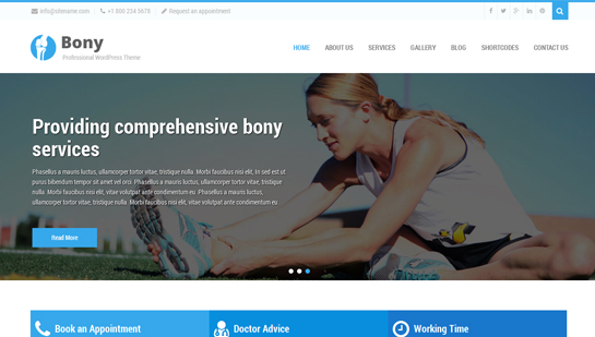 chiropratico tema WordPress