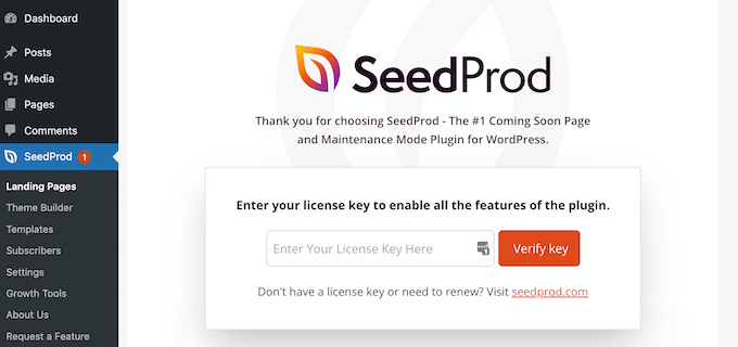 Cheie de licență SeedProd SeedProd license key