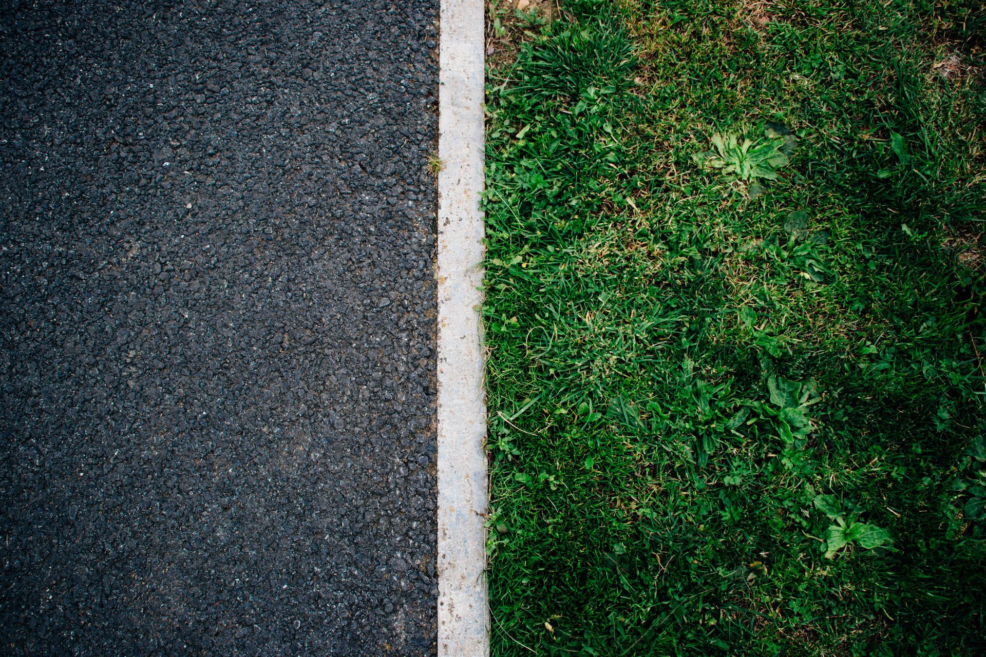 WordPress vs Weebly