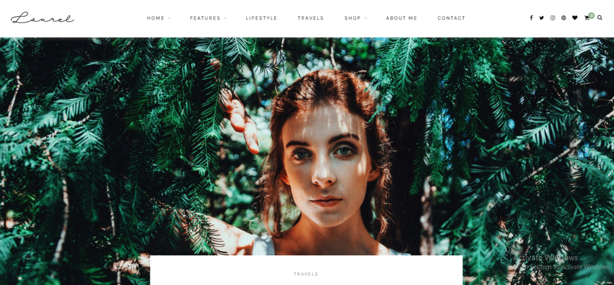 Laurel 최고의 WordPress 블로그 테마