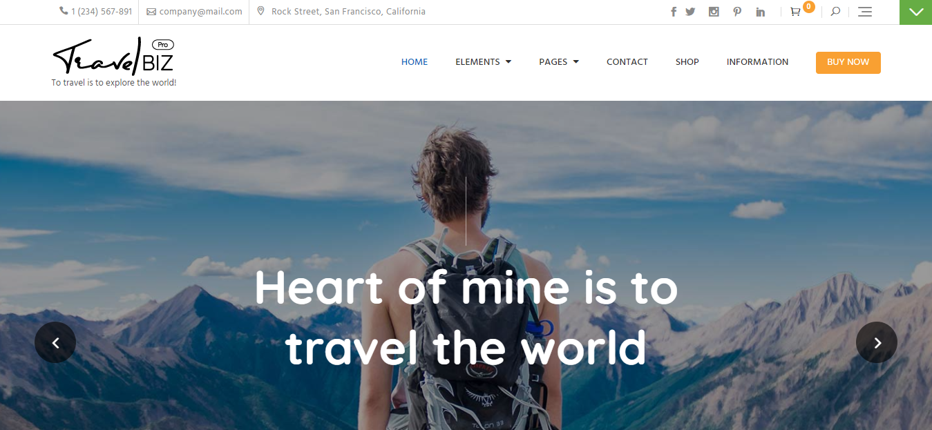 travelbiz