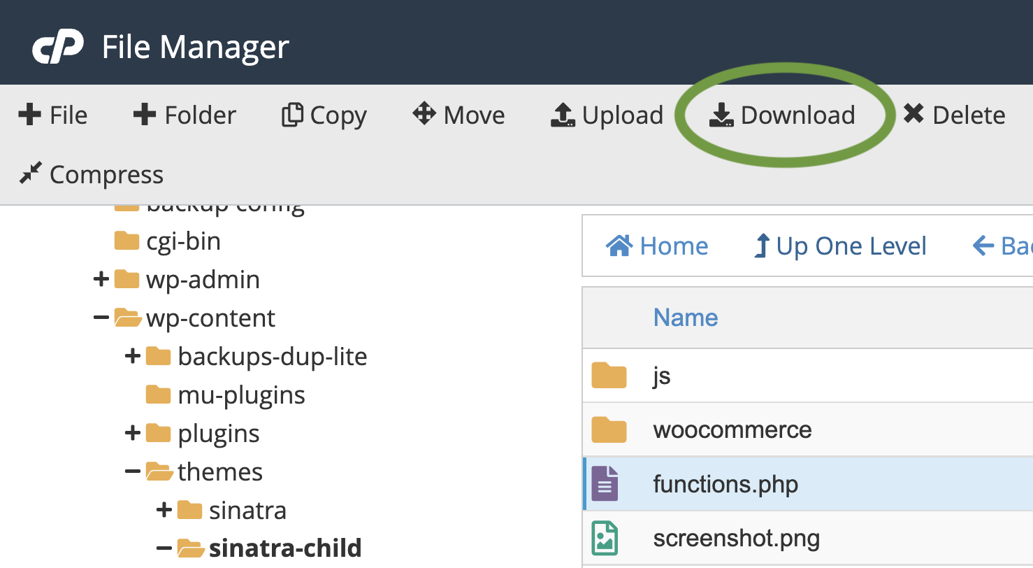 ดาวน์โหลดไฟล์ functions.php จาก cpanel