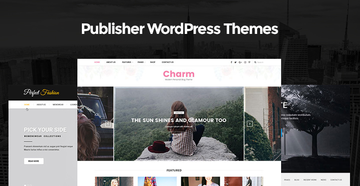 出版商 WordPress 主题