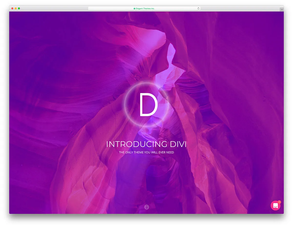 divi - tema serbaguna yang unik
