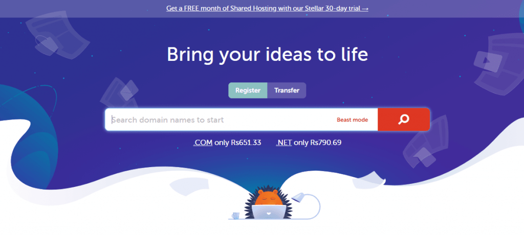 Namecheap-Suchdomain