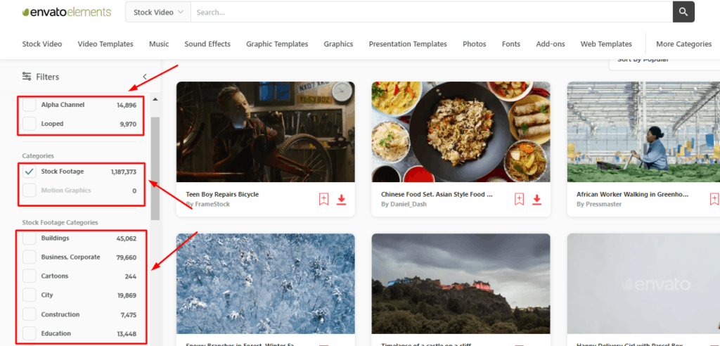 Envato 要素のストック動画