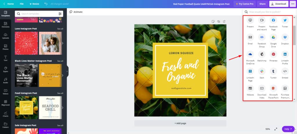 Canva 免费分享选项