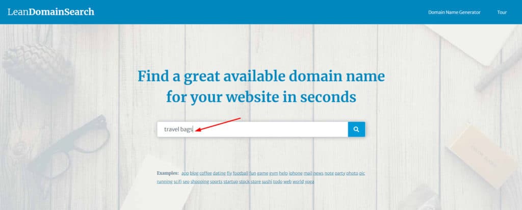 Page d'accueil Lean Domain Search