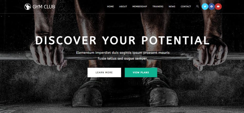 Page d'accueil du site EasyWP