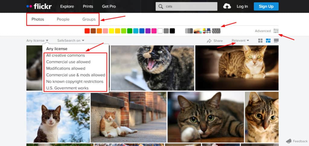 Imagine Flickr