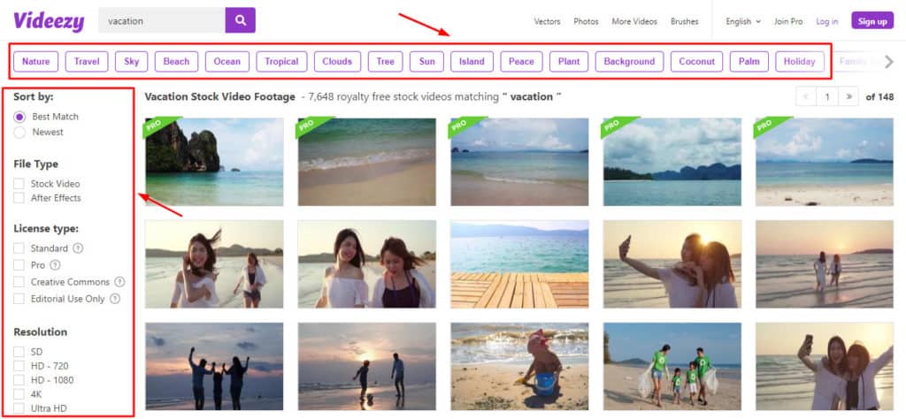 Options de filtre Videzy