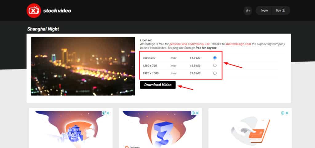 Options de téléchargement sur XStockVideo
