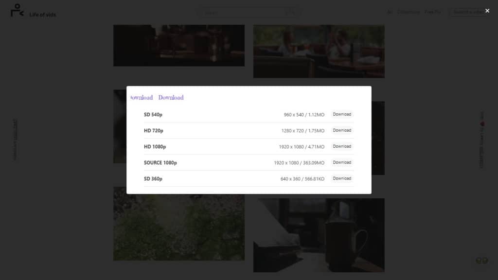 Options de téléchargement de Life of Vids