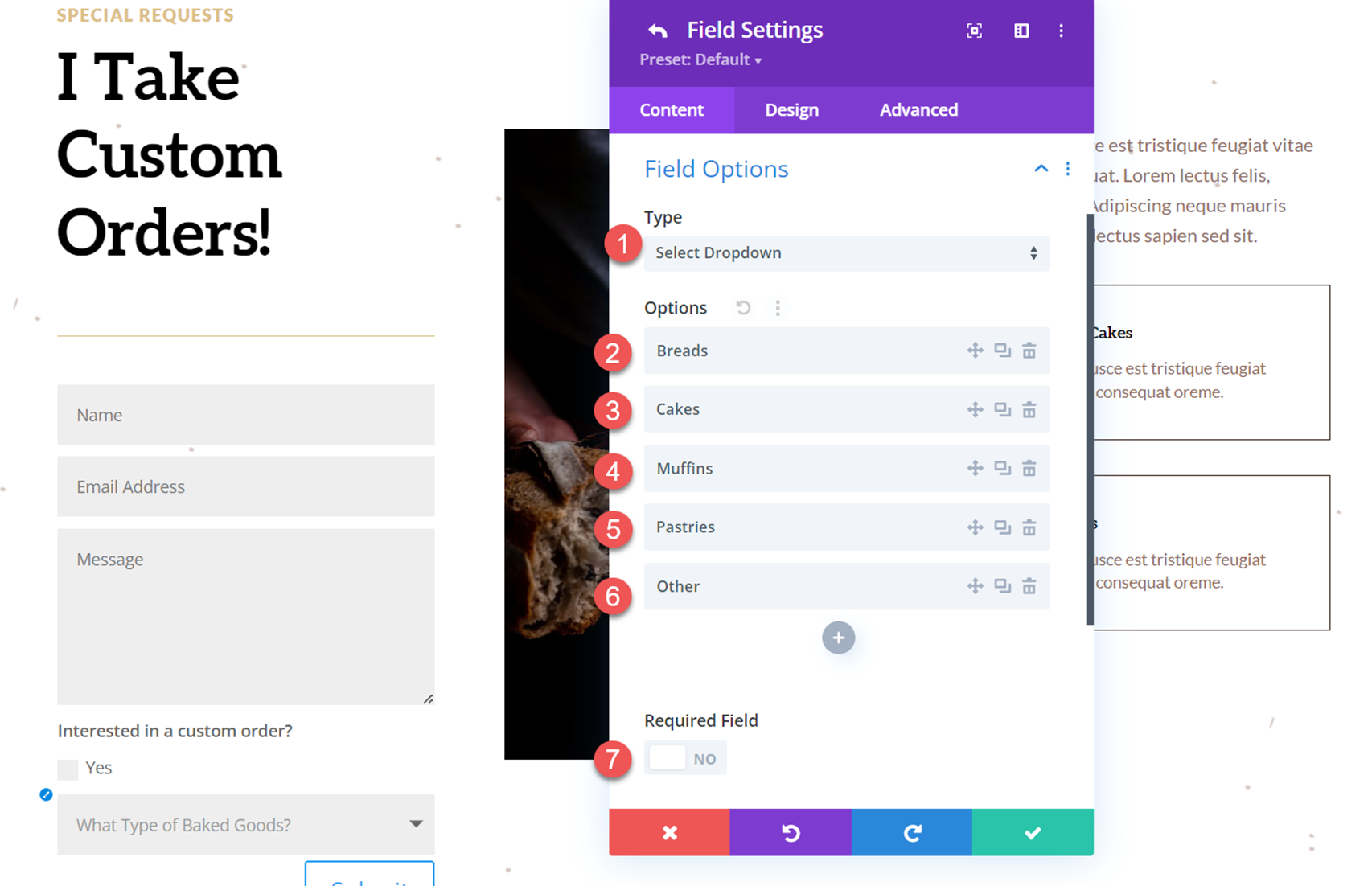 Divi Reveal 选项下拉列表联系表单字段选项下拉列表