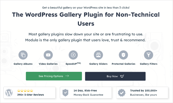 Plugin per la galleria di immagini di Modula WordPress