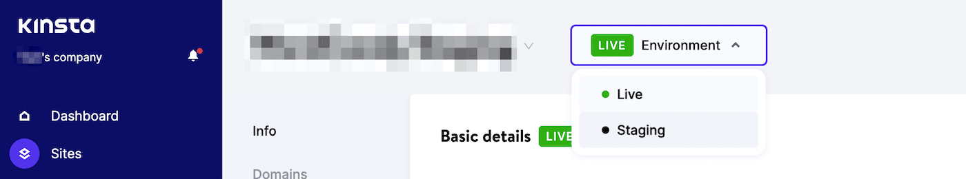 Uno screenshot della creazione di un sito di staging in MyKinsta