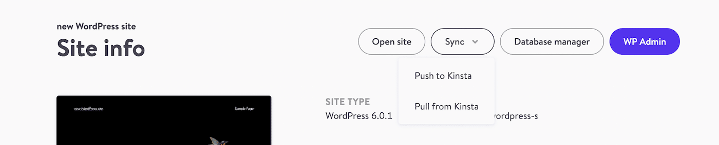 Sposta le modifiche da e verso Kinsta