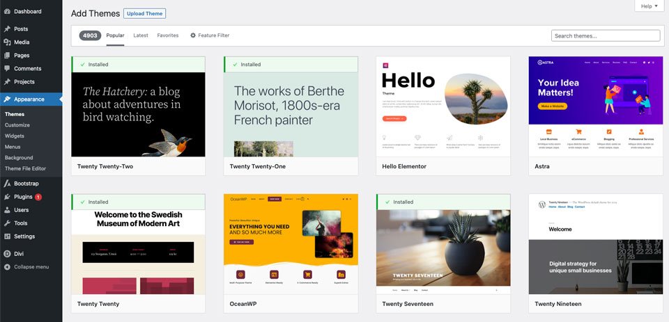 Temi CMS WordPress