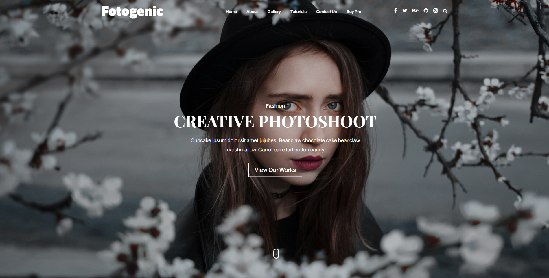 Fotogenic - 摄影 WordPress 主题