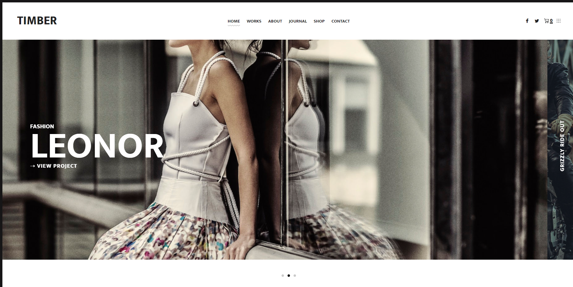 Timber Lite - 摄影 WordPress 主题