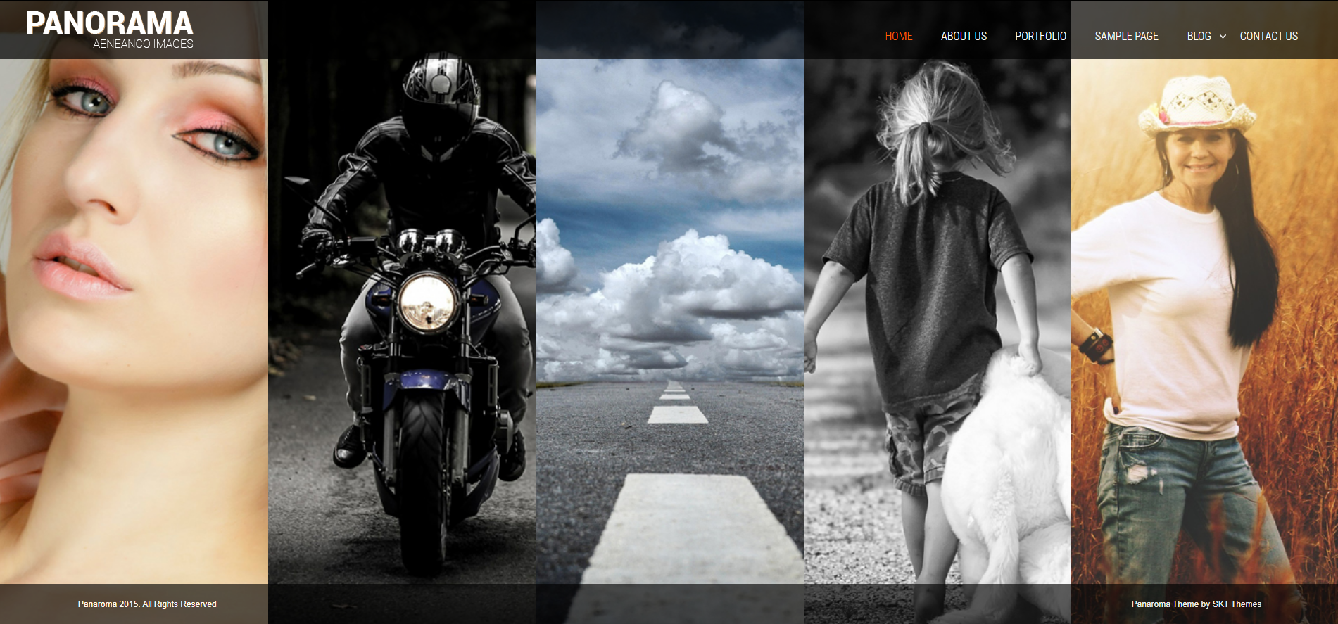 SKT Panorama - feminine WordPress-Themes