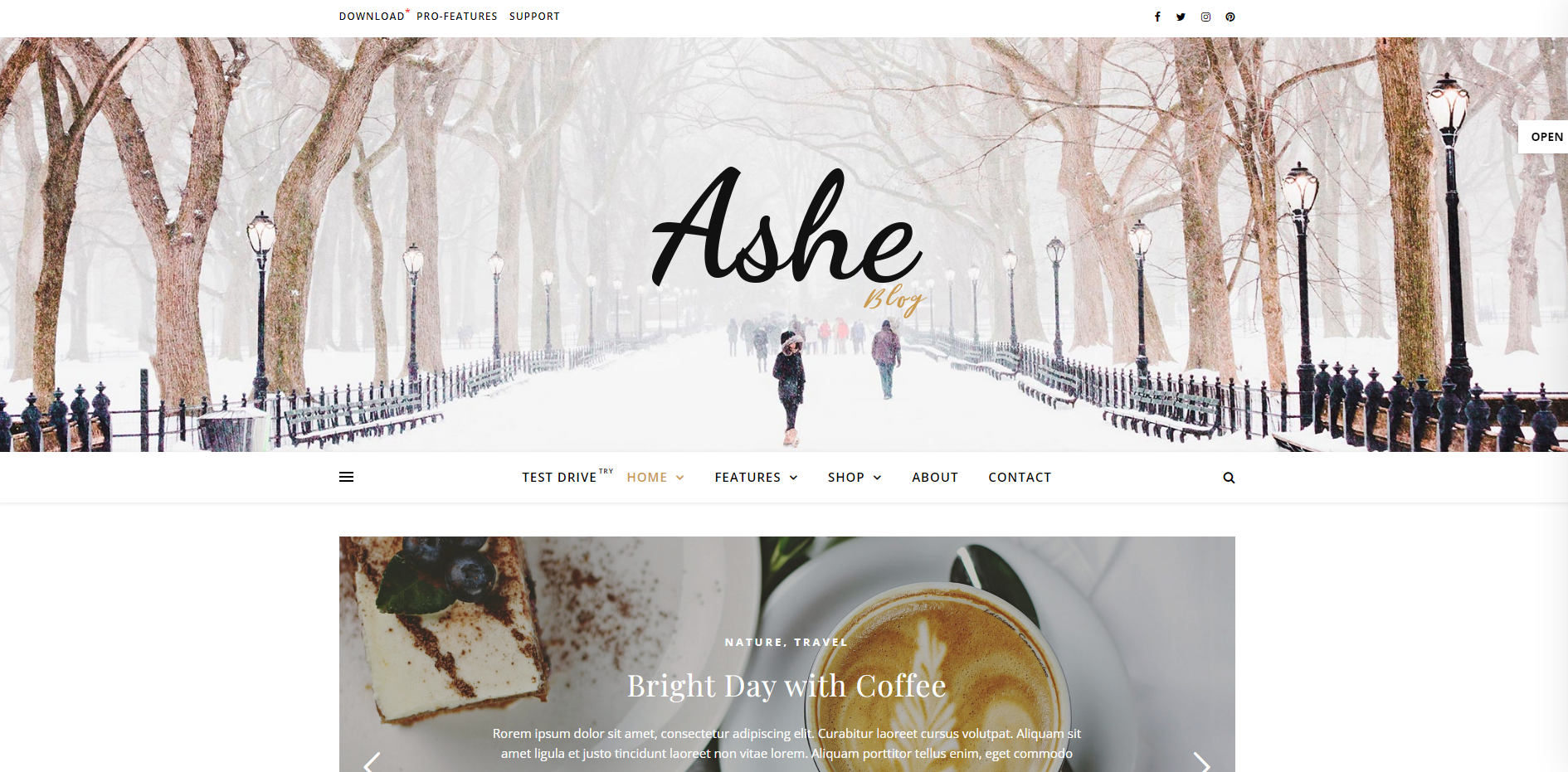 Ashe - feminine WordPress-Themes