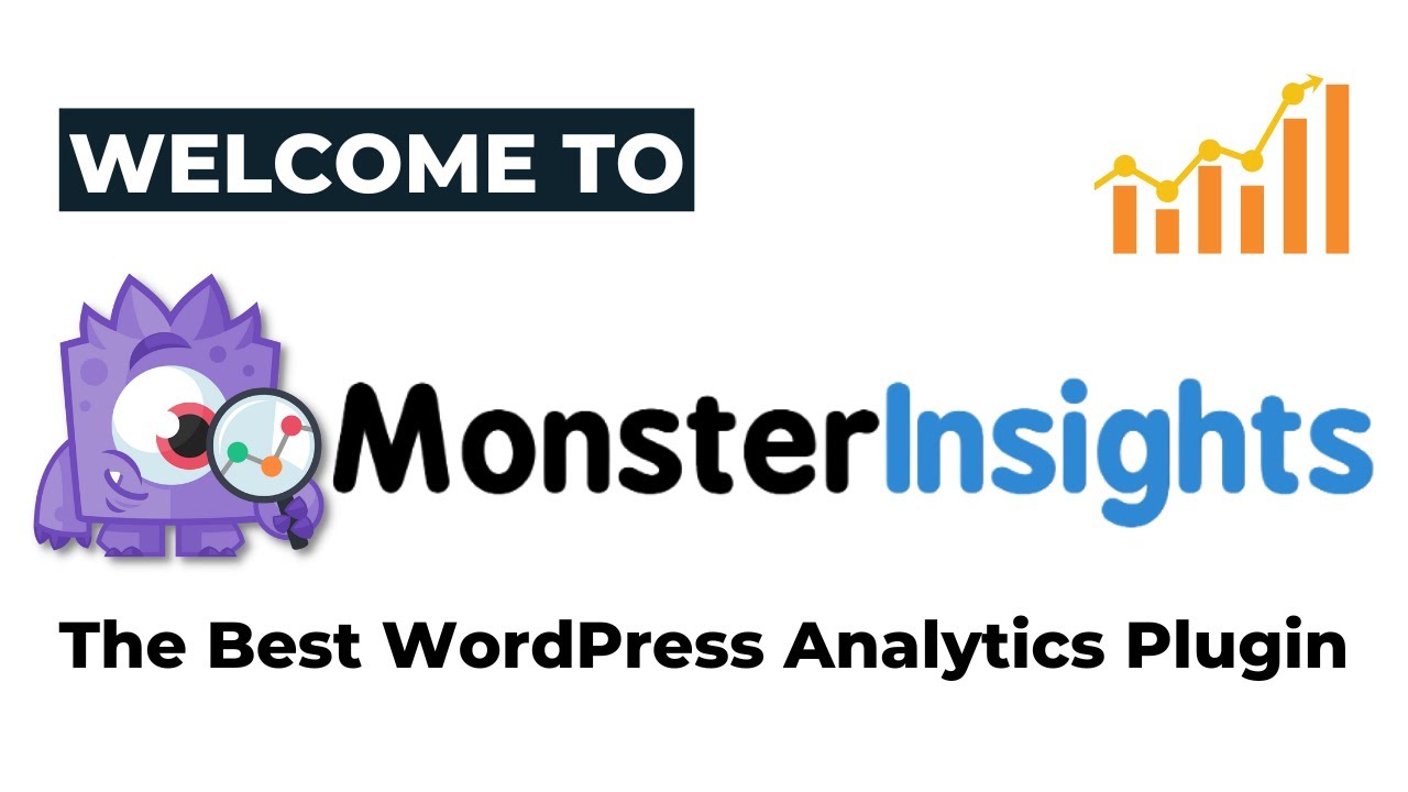 Monsterinsight Top 1 Google Analytics-Plugin aller Zeiten