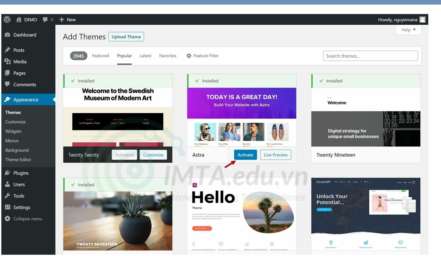 Schritt 5 Aktivieren Sie das Thema, um eine WordPress-Website zu erstellen