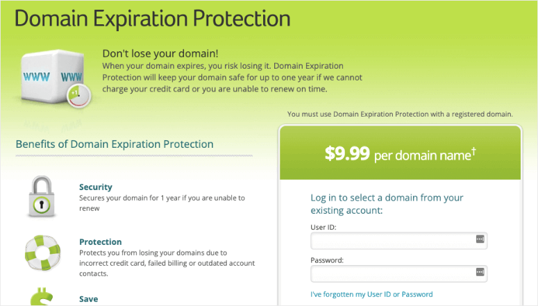 protección-de-expiración-de-dominio - IsItWP - Detector de temas de WordPress gratuito Domain Expiration Protection