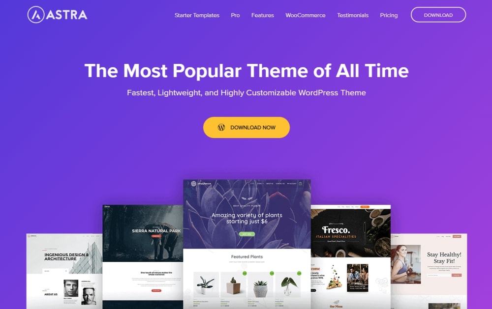 Домашняя страница веб-сайта темы Astra WordPress