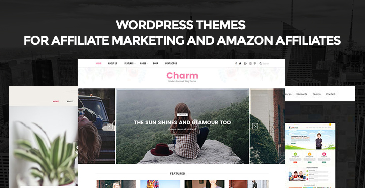 Satış Ortaklığı WordPress temaları