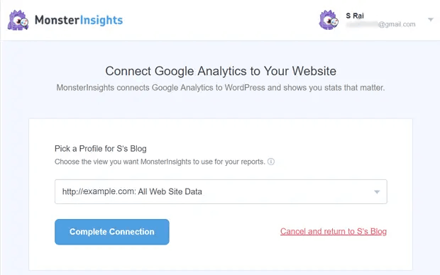 Полное подключение MonsterInsights