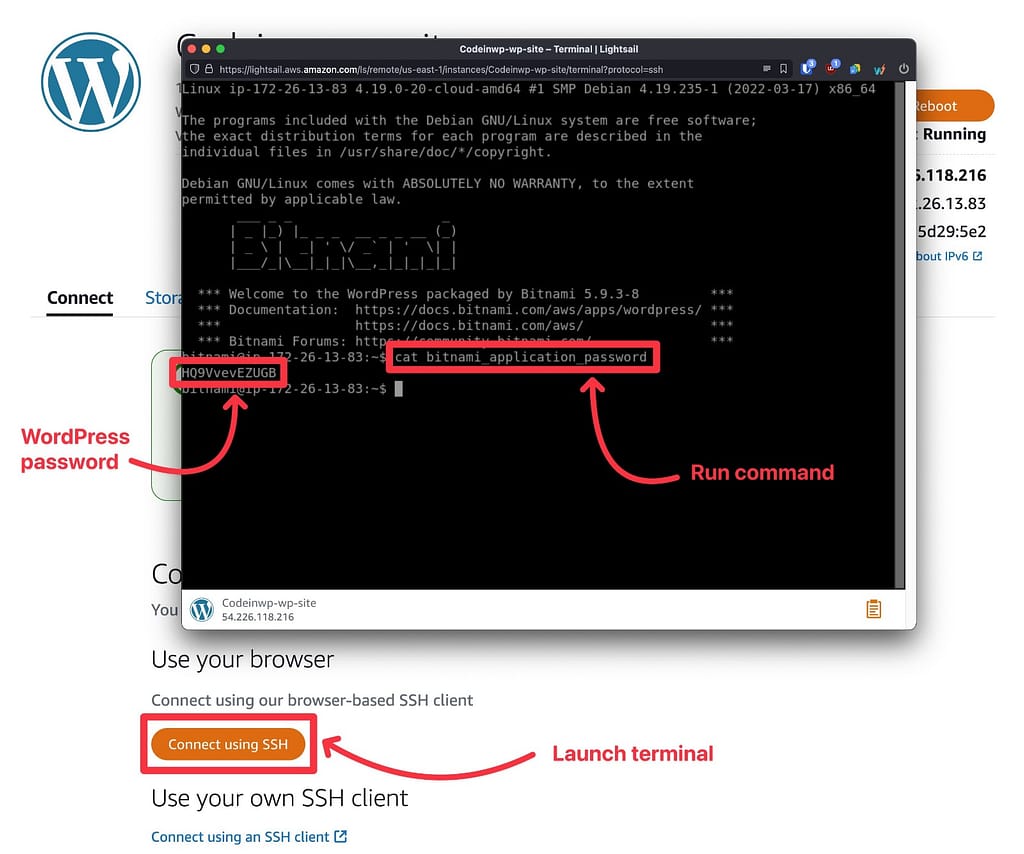 Accedi alla password di WordPress