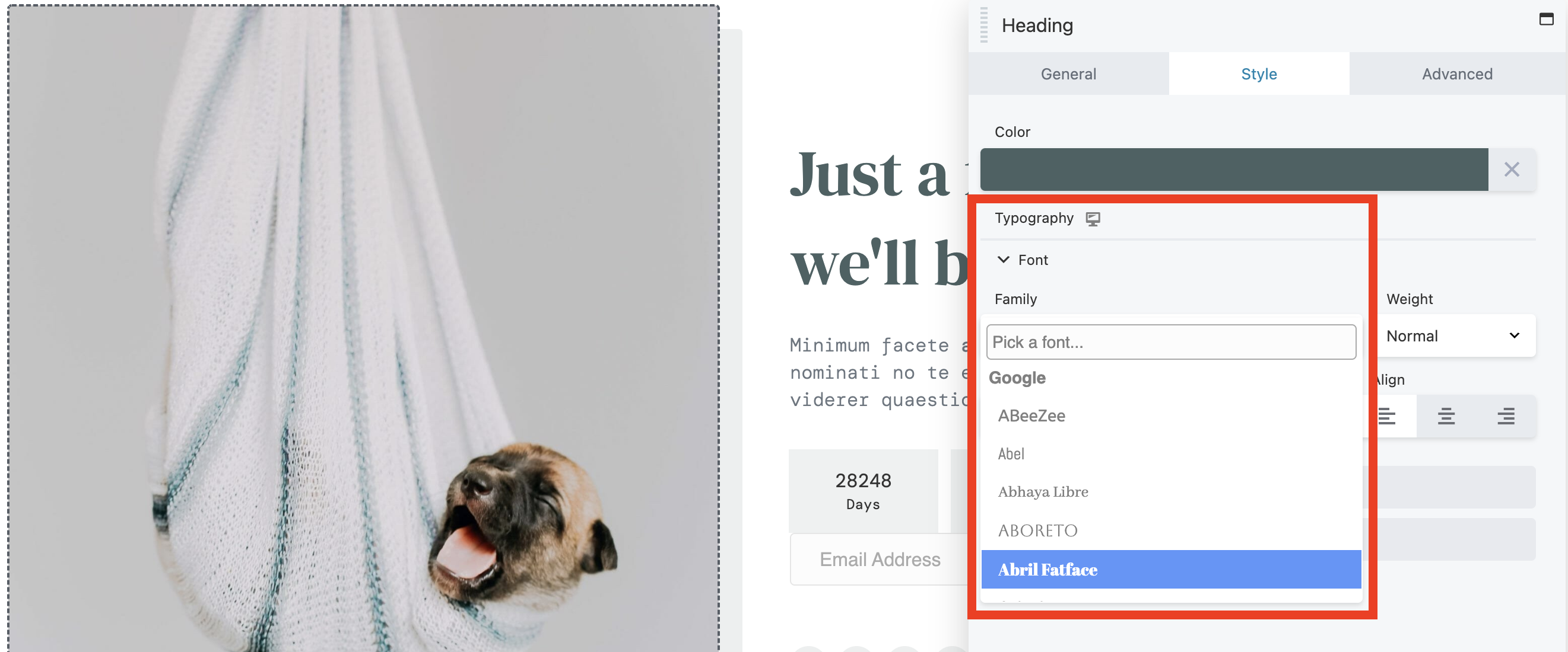 Beaver Builder 2.6 Предварительный просмотр шрифтов Google