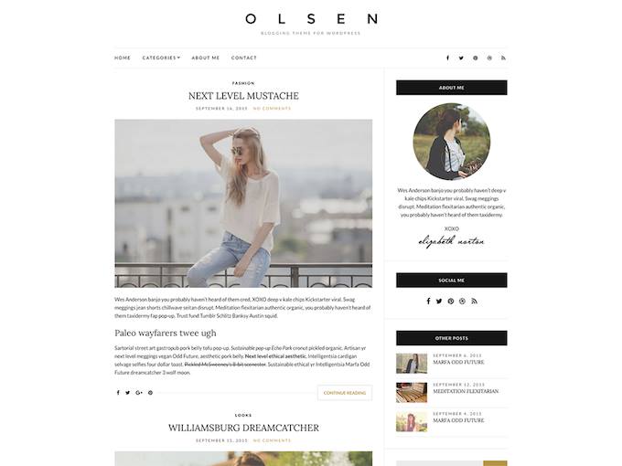 Olsen, Blog teması, WordPress Teması