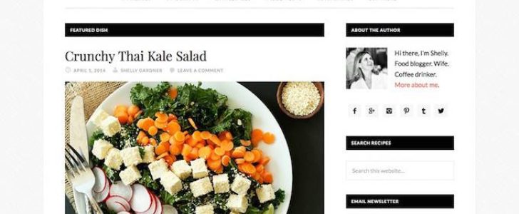 Günlük yemek, Bloglama Teması, WordPress Teması