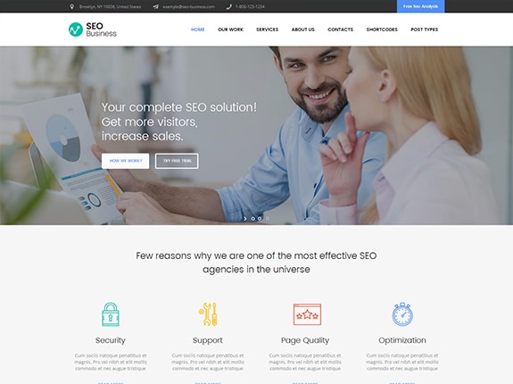 Motyw SEO Biznes WP