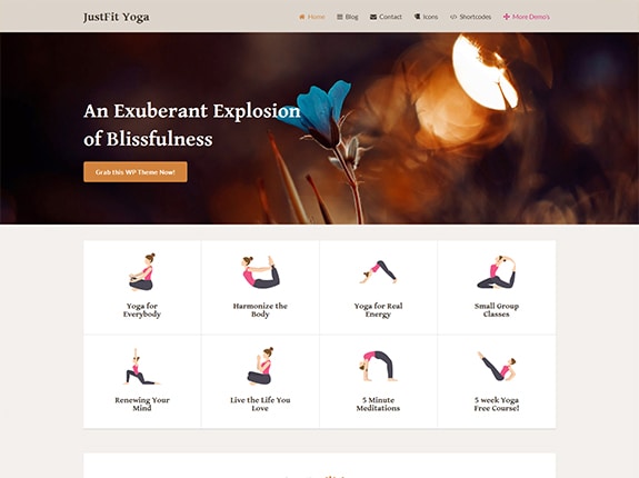 Zoptymalizowany motyw WP JustFit SEO