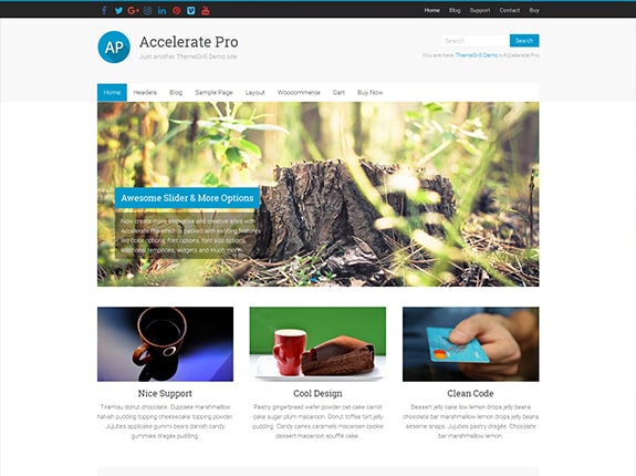 Motyw WordPress Accelerate Pro