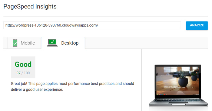 Cloudways PageSpeed Insights test