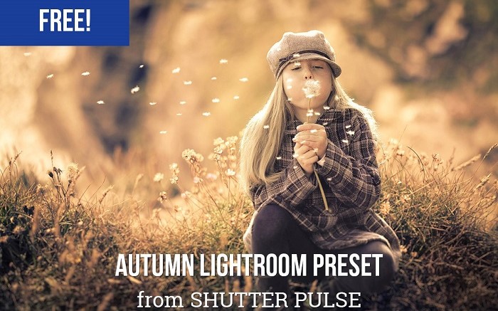 Осенние пресеты Lightroom, Осенние пресеты Lightroom
