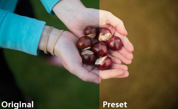 Осенние пресеты Lightroom