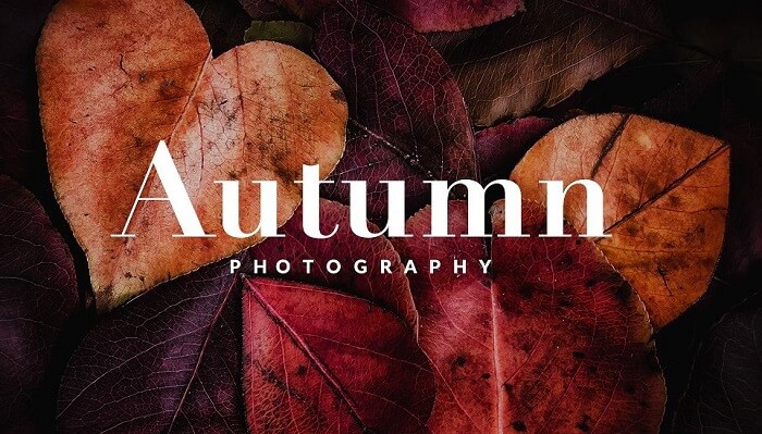 Осенние пресеты Lightroom