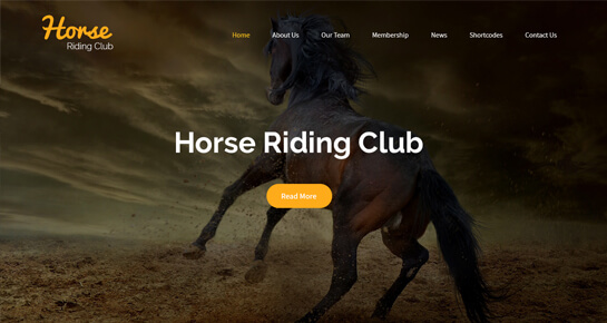 Конный спорт Тема Wordpress