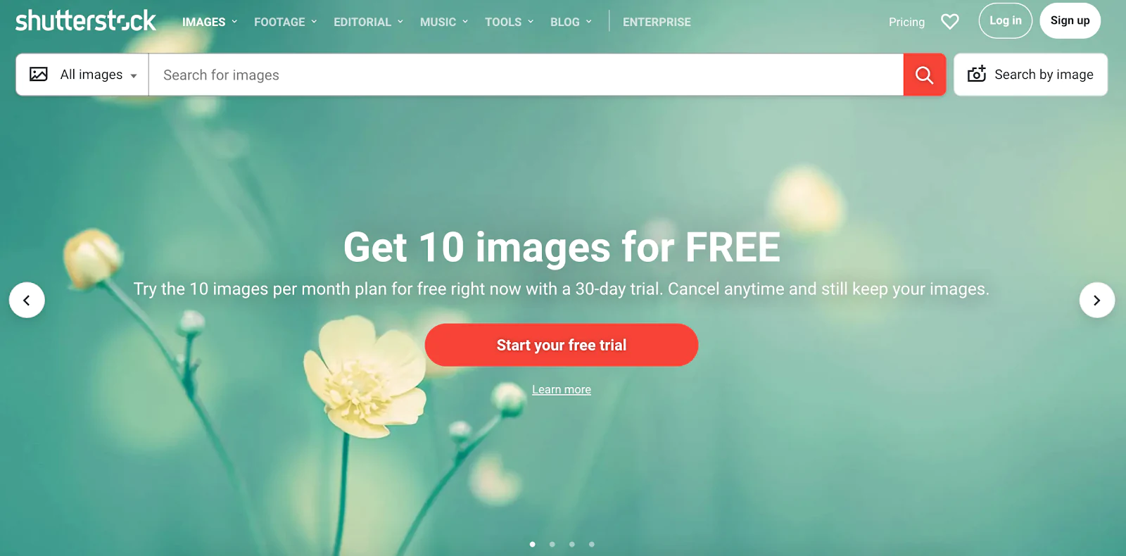 ppwp-digital-art-selling-examples