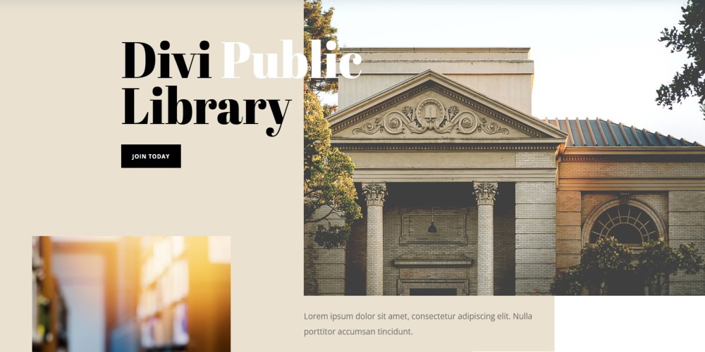 Disposition de la librairie à thème Divi