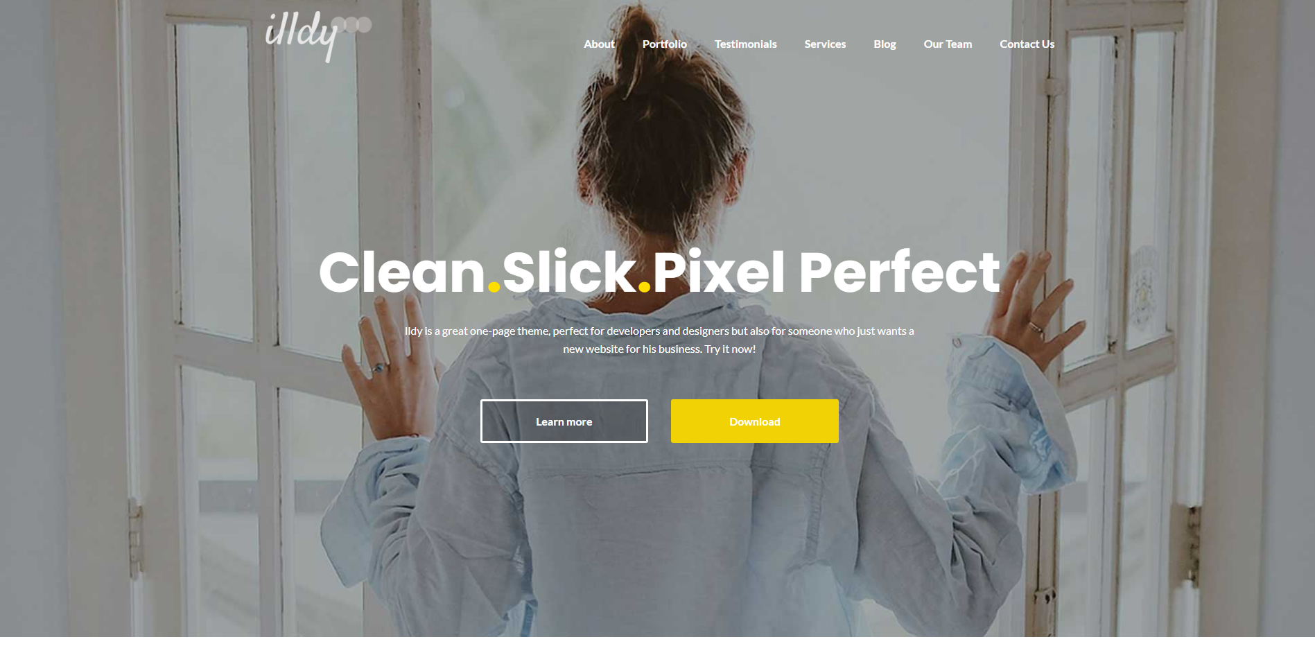 Illdy - หนึ่งหน้า WordPress ธีม