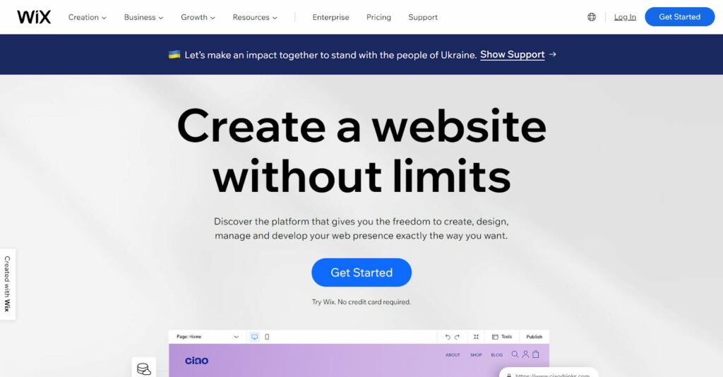Wix-Homepage