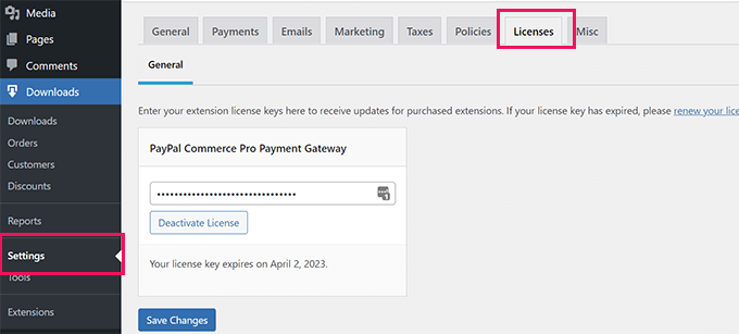 Licenze per download digitali facili